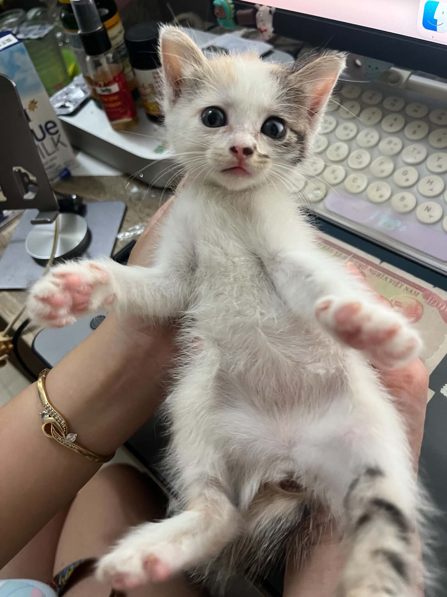 Misu