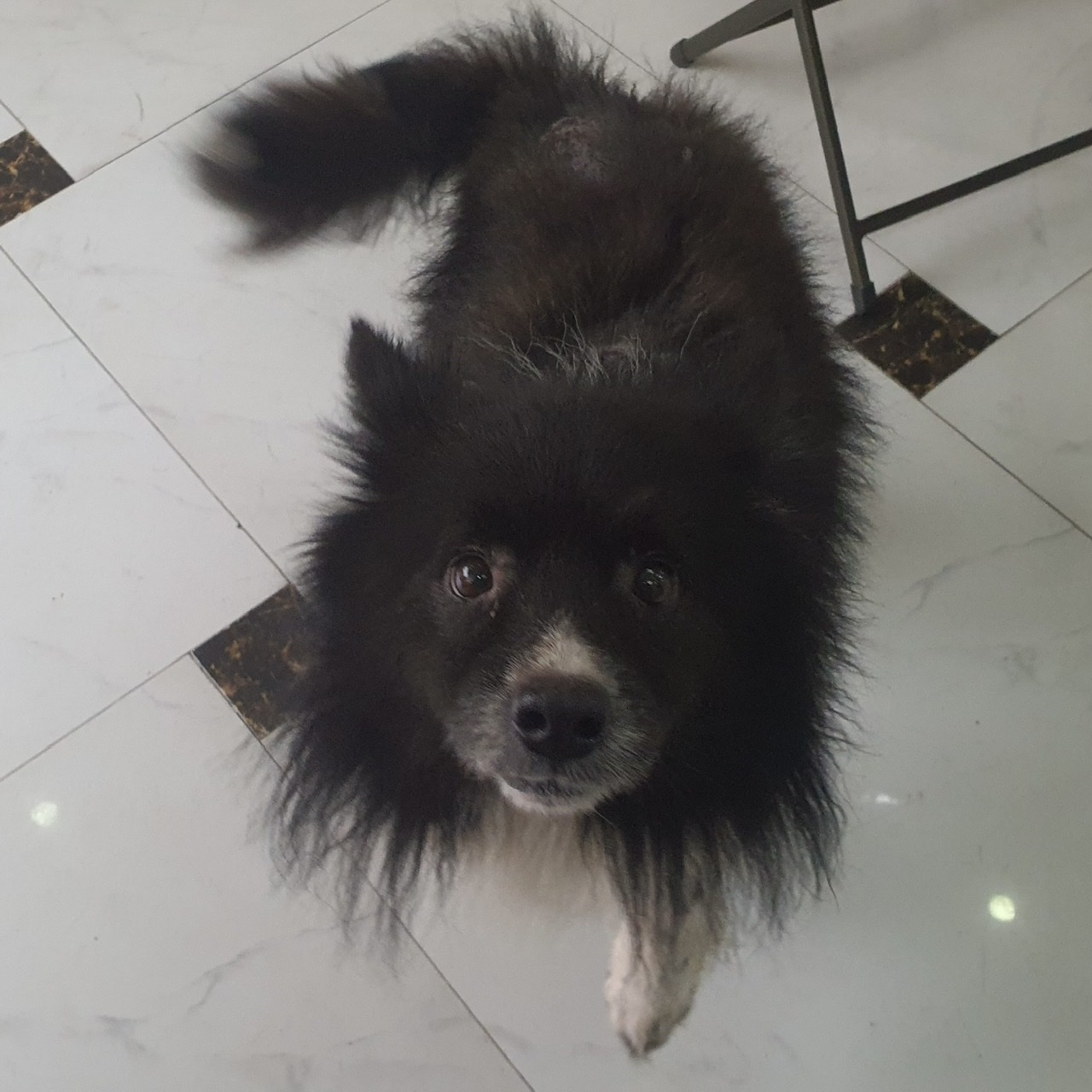 Milo