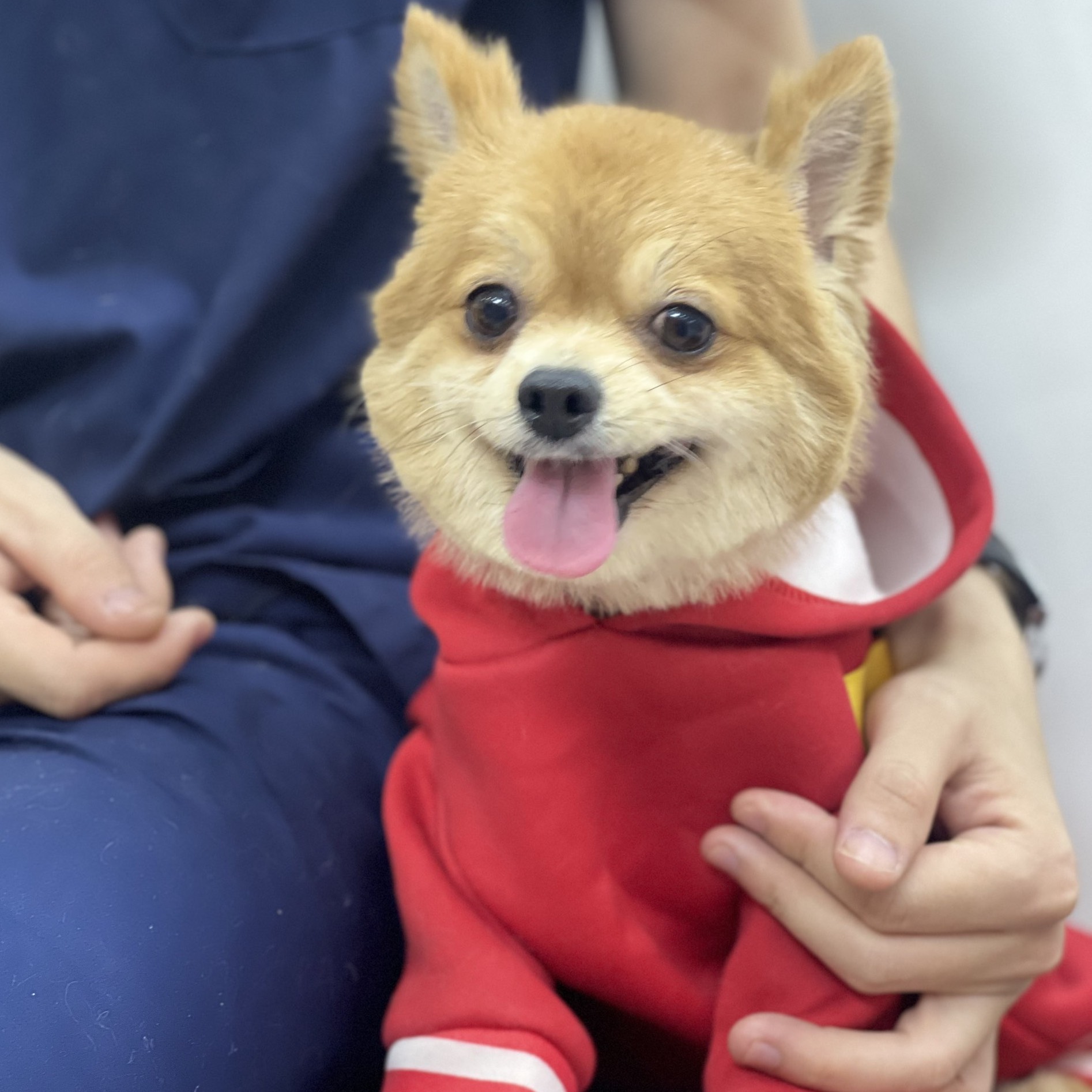 Bông