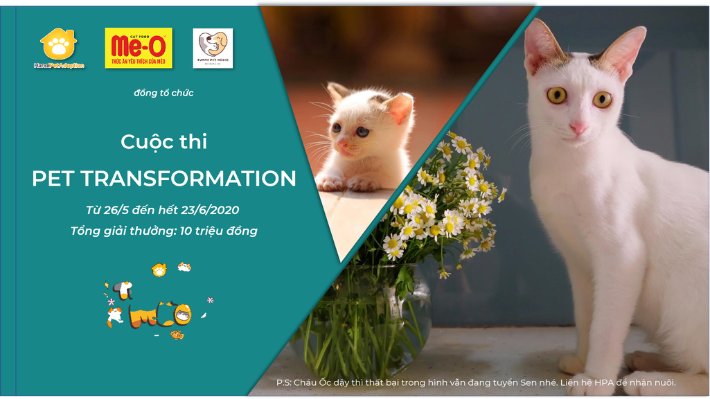 Pet Transformation Contest