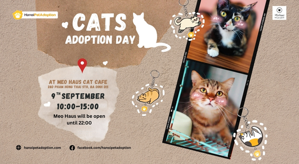 Cat Adoption Day