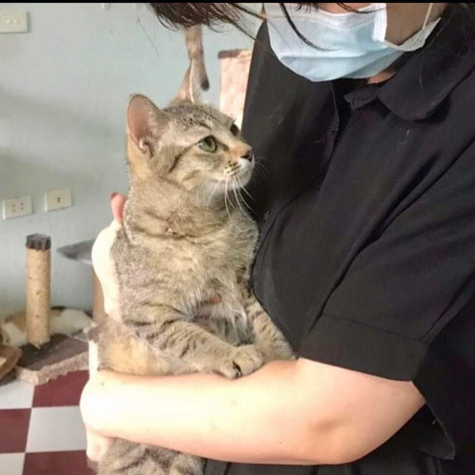 Mayu (for English & Japanese interview)