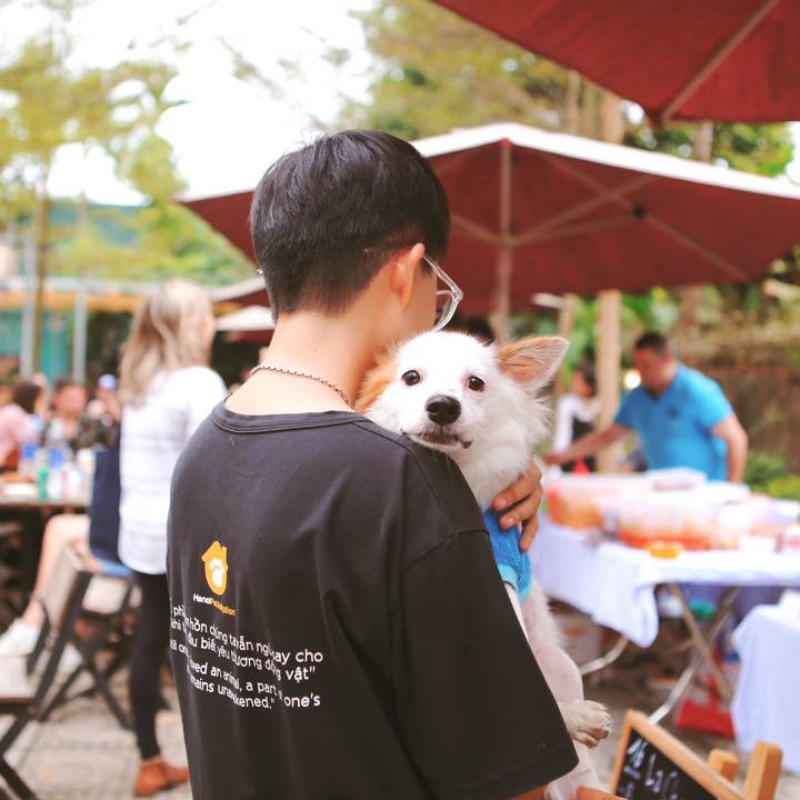 Introduce volunteers to rescue cats and dogs